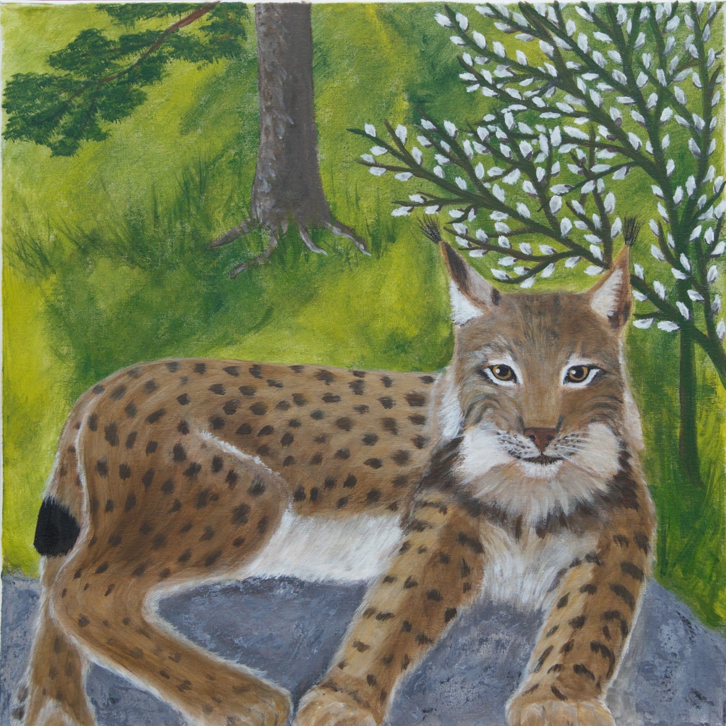 Trykk Lynx on stone