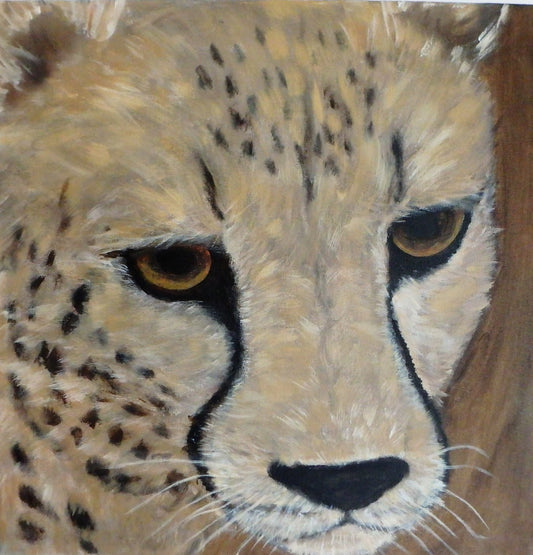 Cheetah, original 40x40 cm