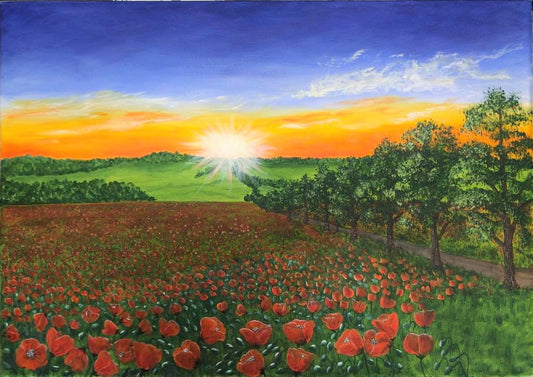 Poppy field, original 60x50 cm